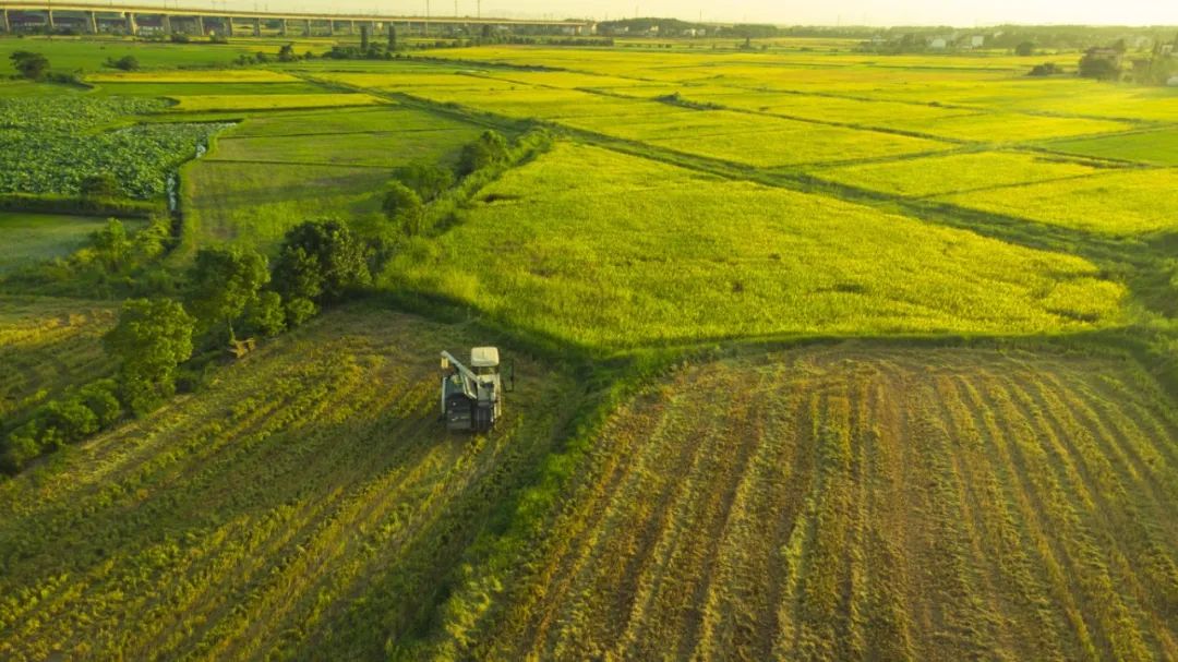 云顶集团·(中国区)最新官方网站