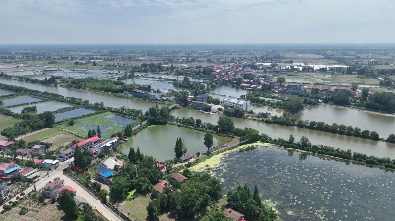 云顶集团·(中国区)最新官方网站