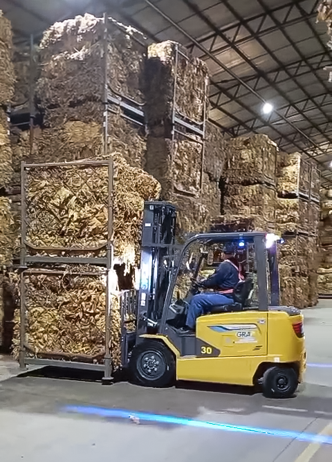 云顶集团鲲鹏电动叉车：烟草运输的清静高效新选择